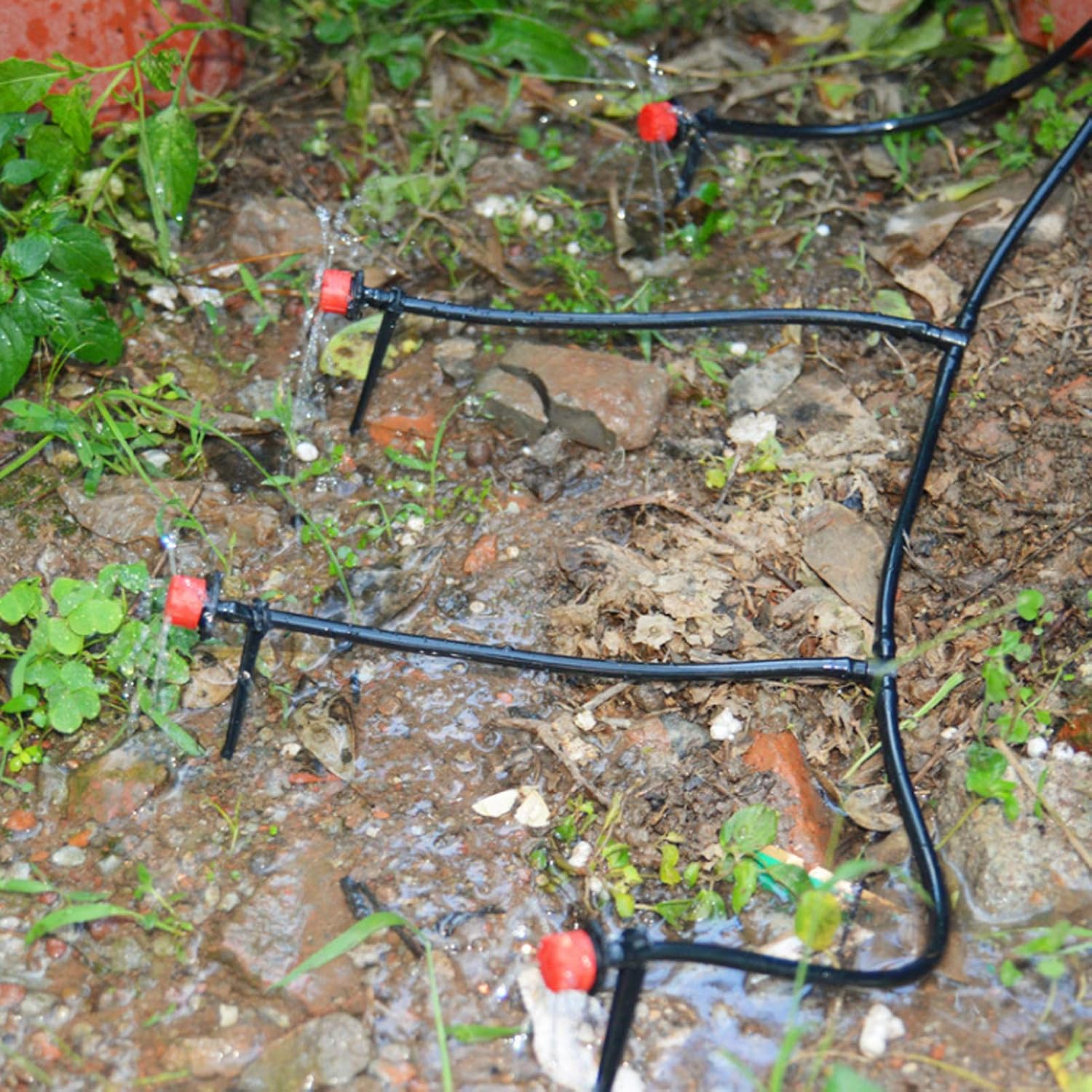 Garden Watering Hose Drip Irri - Bonsai Garden Youtube recension och pris