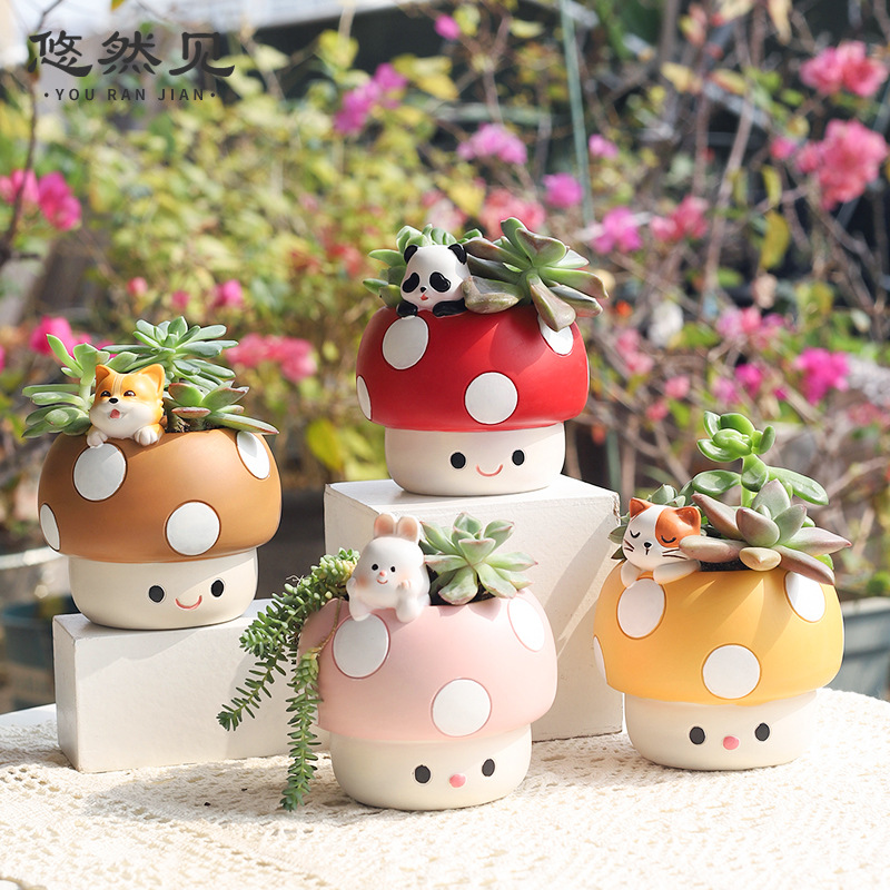 Cartoon Cute Mushroom Succulen - Bonsai Garden Youtube recension och pris