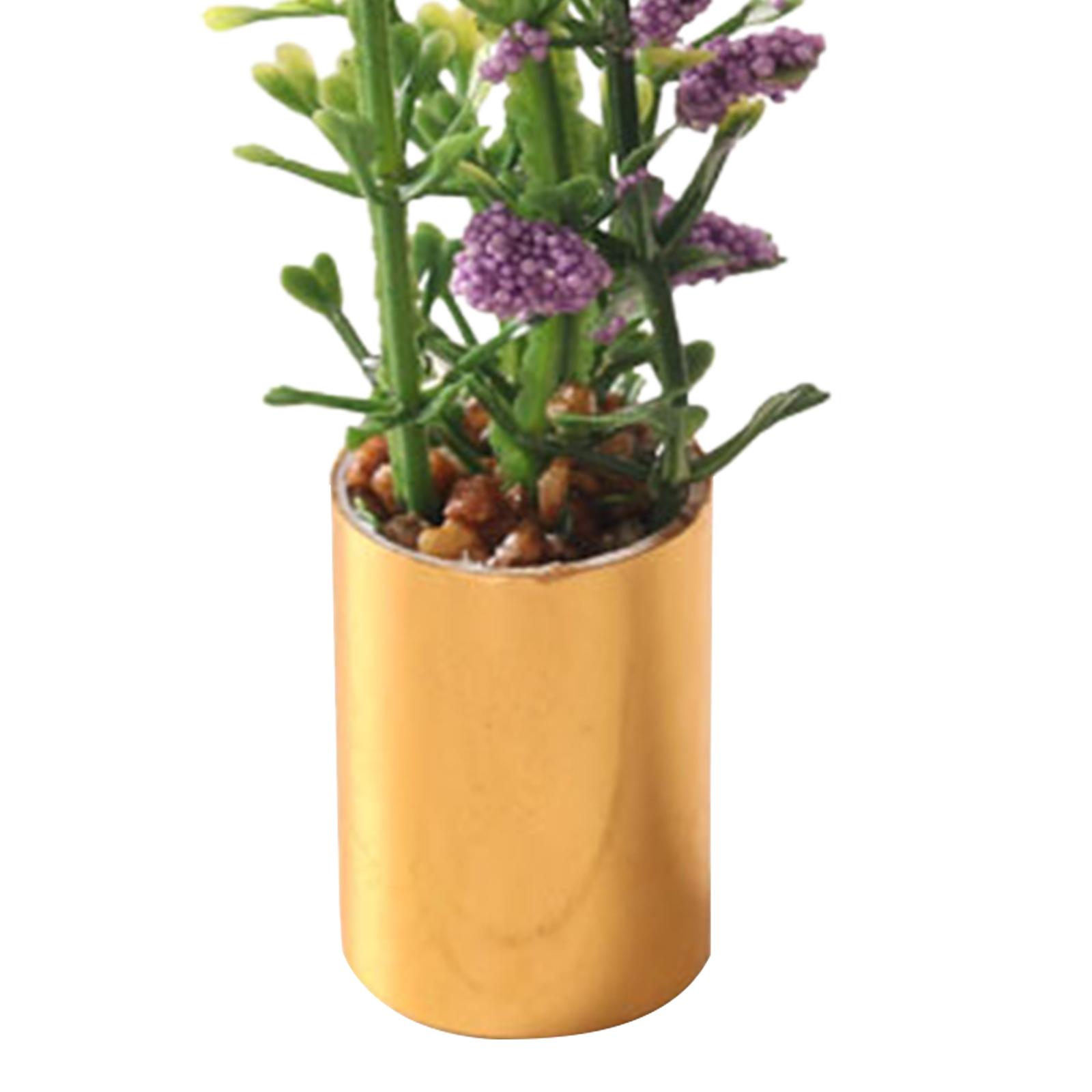 Miniature Potted Plant Ornamen - Bonsai Garden Display recension och pris