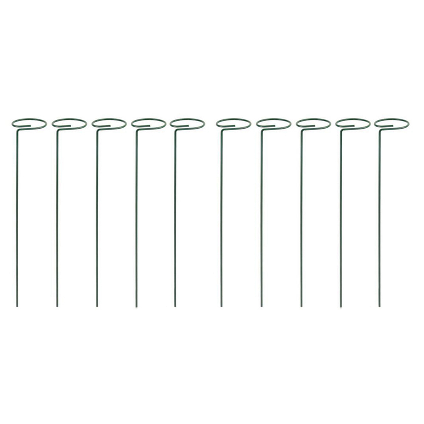 PZHI-16PCS Beautiful Plant Sup - Bonsai Garden Backyard recension och pris
